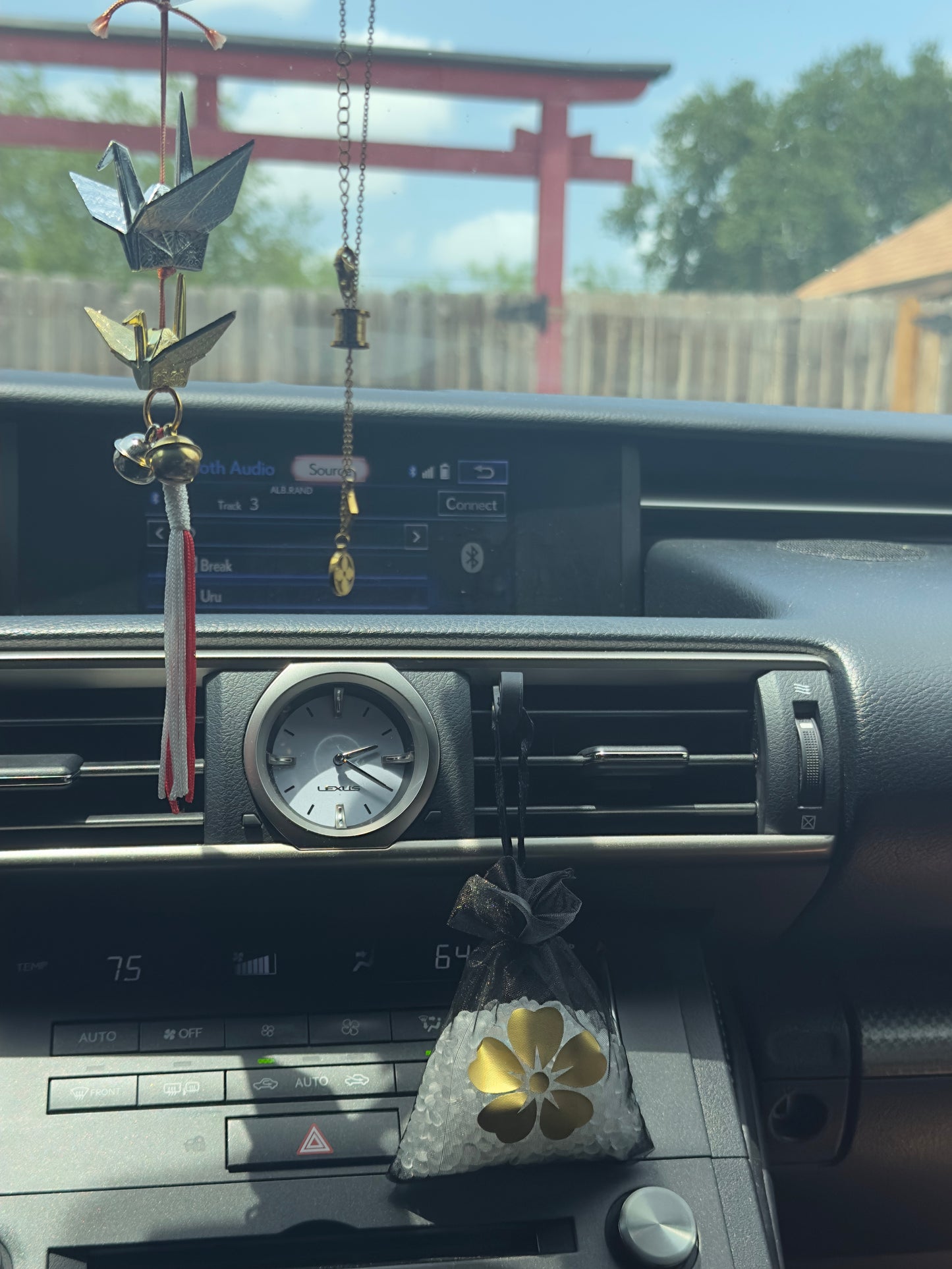 Ginger Tea Aroma Pearls